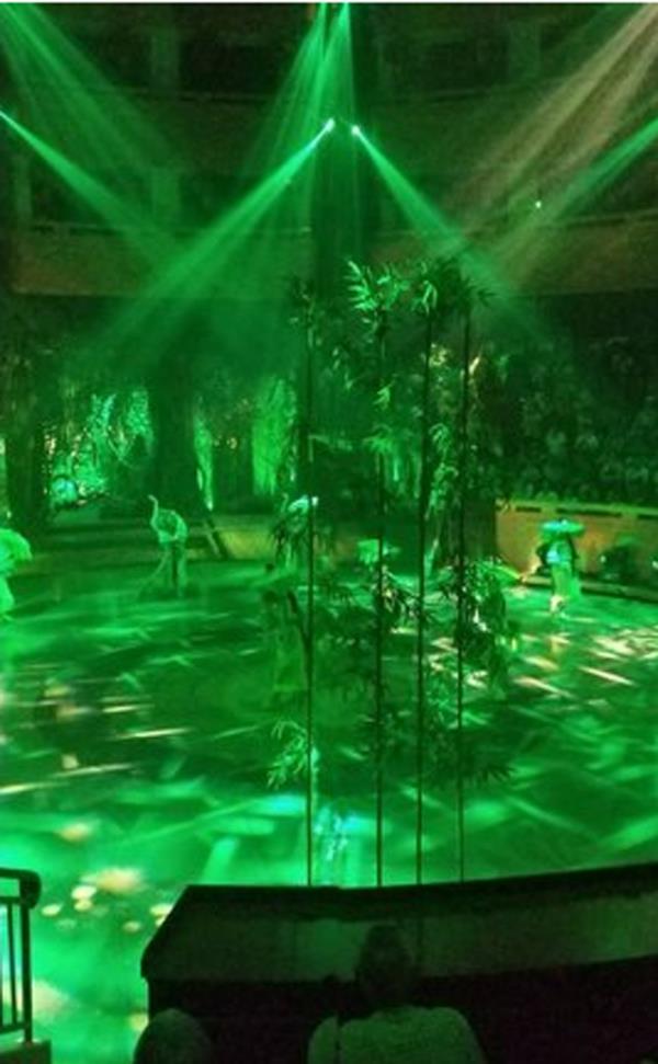 河源巴伐利亚庄园 河源巴伐利亚庄园