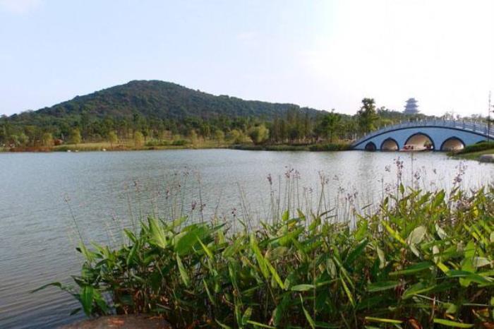 凤凰湖生态植物园 凤凰湖生态植物园