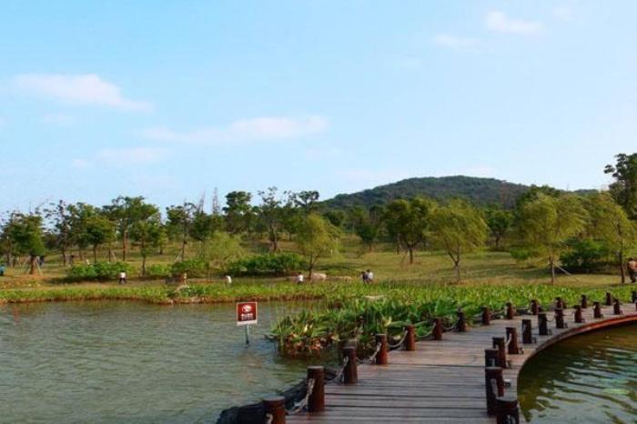 凤凰湖生态植物园 凤凰湖生态植物园