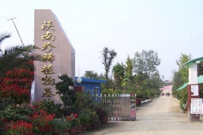 陕南珍稀植物园