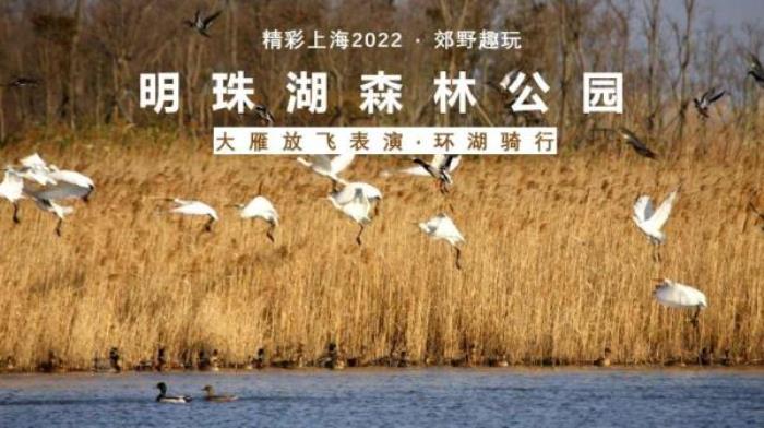 2022《精彩上海》旅游联票 2022《精彩上海》旅游联票