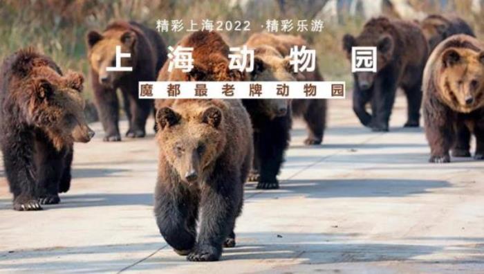 2022《精彩上海》旅游联票 2022《精彩上海》旅游联票