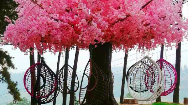 松风寨童话世界森林公园 松风寨童话世界森林公园