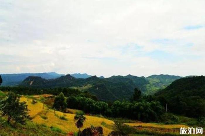 邻水千岛洪湖 邻水千岛洪湖