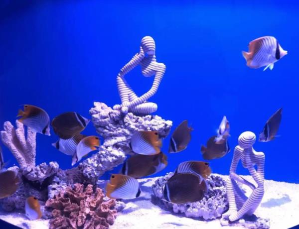 内江欢乐海底世界 内江欢乐海底世界