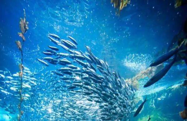 内江欢乐海底世界 内江欢乐海底世界