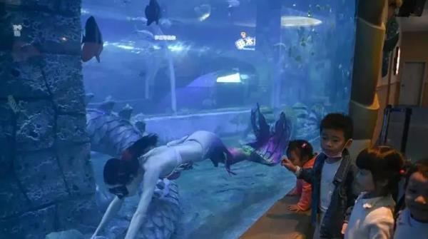 内江欢乐海底世界 内江欢乐海底世界