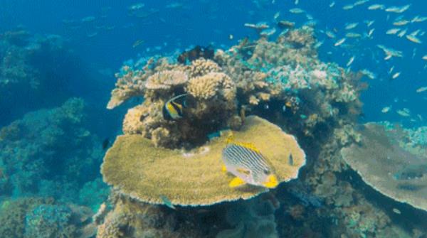 内江欢乐海底世界 内江欢乐海底世界