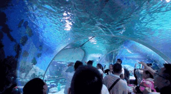 内江欢乐海底世界 内江欢乐海底世界