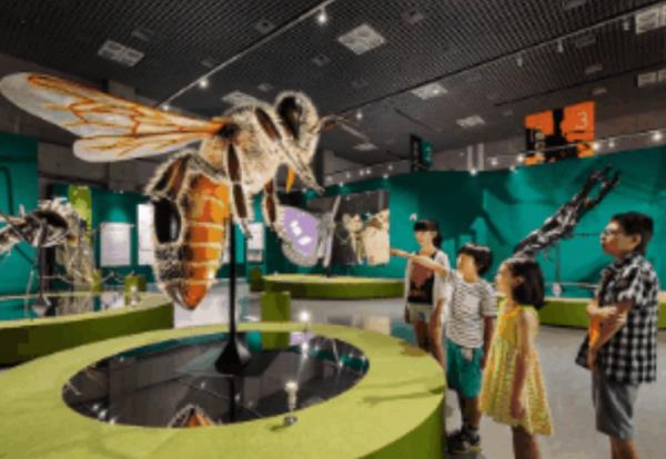 内江欢乐海底世界 内江欢乐海底世界