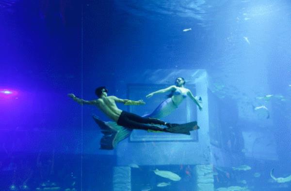 内江欢乐海底世界 内江欢乐海底世界