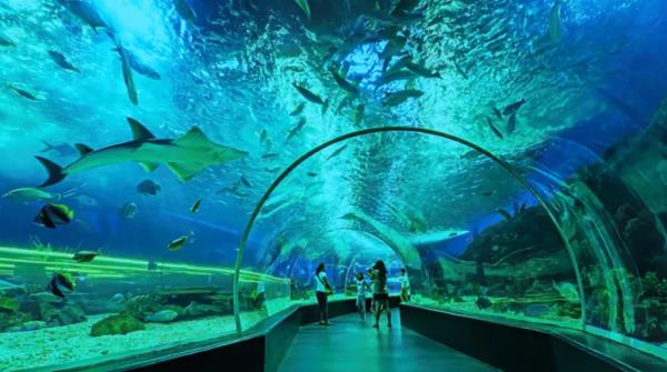内江欢乐海底世界 内江欢乐海底世界