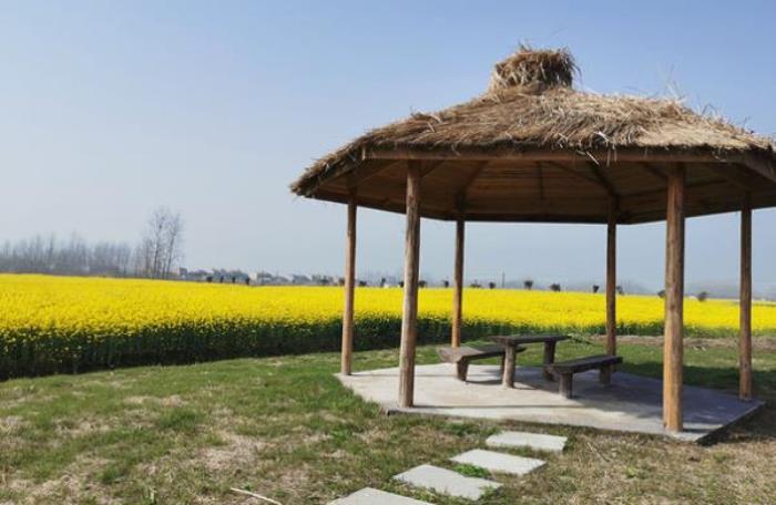 百万花海风景区 百万花海风景区