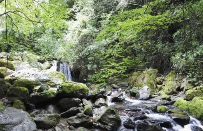 神农祭坛 神农祭坛