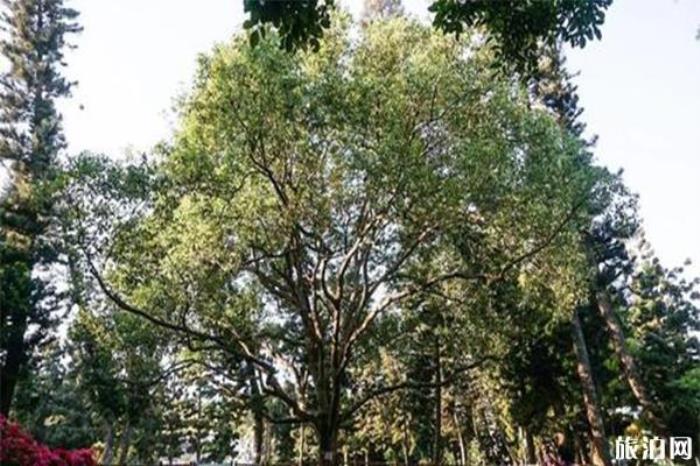 邓小平纪念园 邓小平纪念园