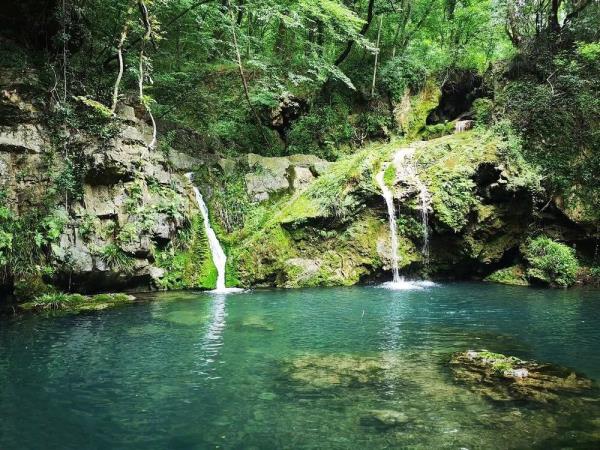 大口国家森林公园