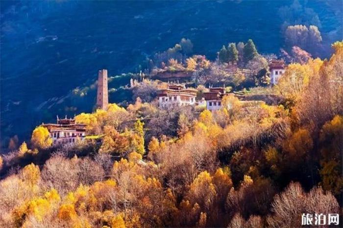 丹巴庄园 丹巴庄园