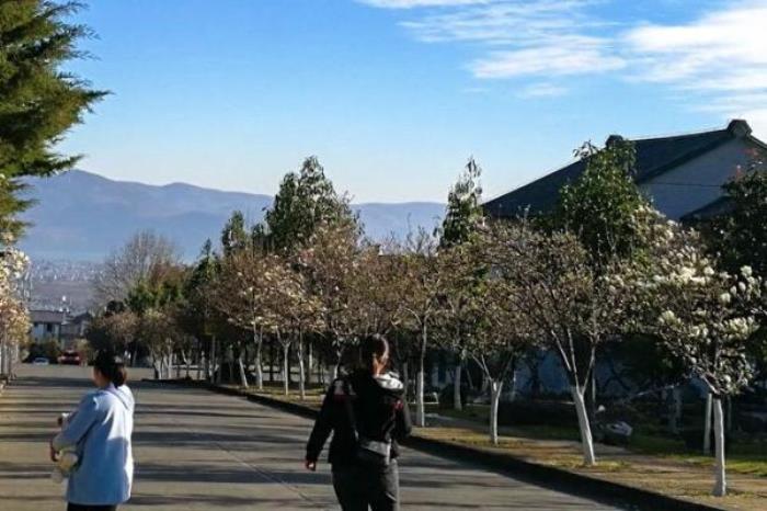 大理大学 大理大学