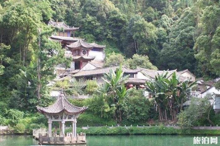 固东银杏村 固东银杏村