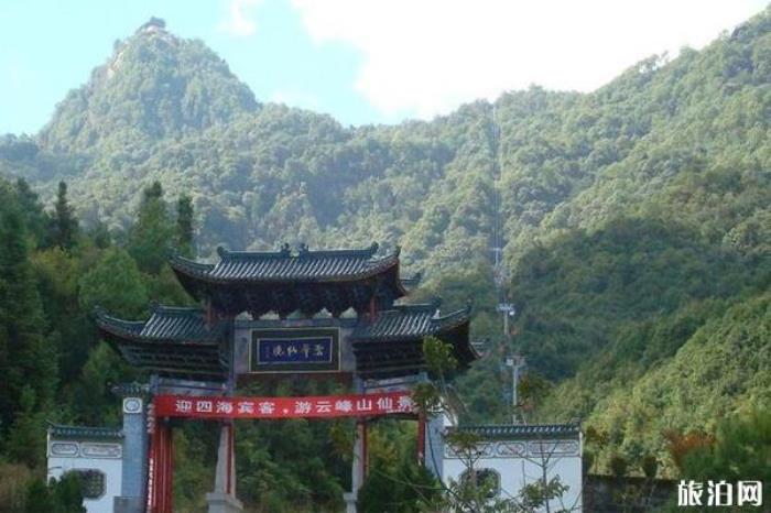 固东银杏村 固东银杏村