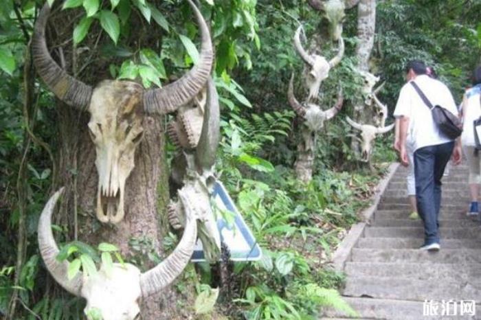 基诺山寨 基诺山寨