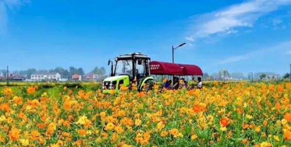 紫海田园 紫海田园