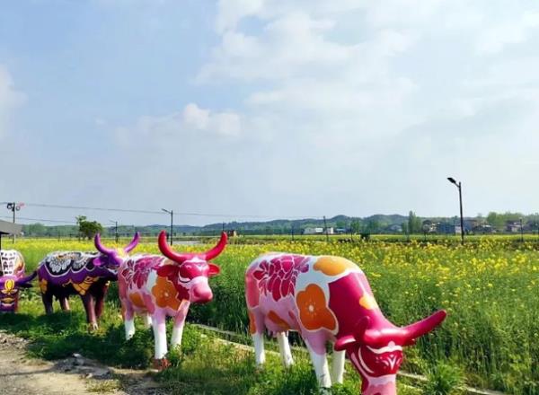 紫海田园 紫海田园