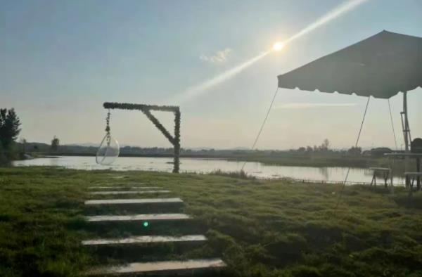 紫海田园 紫海田园