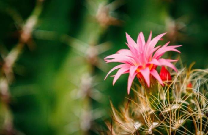 厦门园林植物园 厦门园林植物园