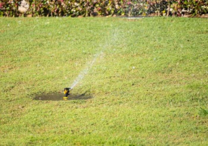 厦门园林植物园 厦门园林植物园