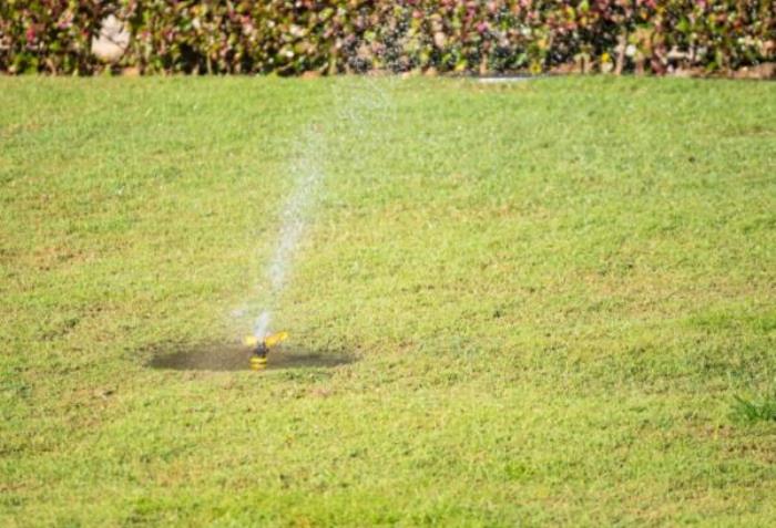 厦门园林植物园 厦门园林植物园