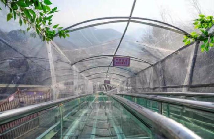 梅花山梦幻激情谷 梅花山梦幻激情谷