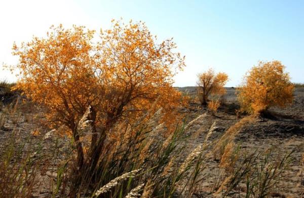 敦煌玉门关 敦煌玉门关