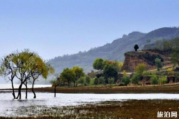 多依树梯田 多依树梯田