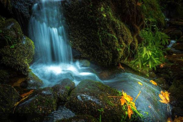 雁山瀑布 雁山瀑布