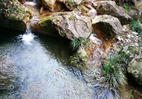 雁山瀑布 雁山瀑布