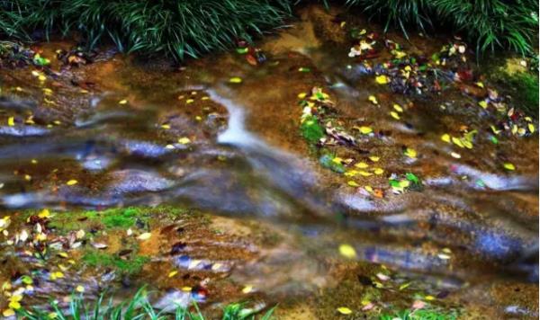 雁山瀑布 雁山瀑布