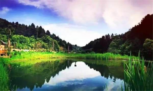 中国秦岭悠然山高山湿地景区 中国秦岭悠然山高山湿地景区
