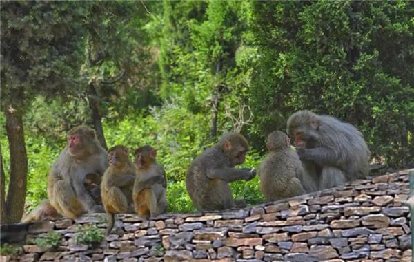 山西平顺通天峡景区门票 山西平顺通天峡景区门票