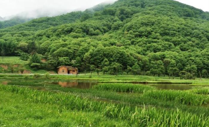 神农祭坛 神农祭坛