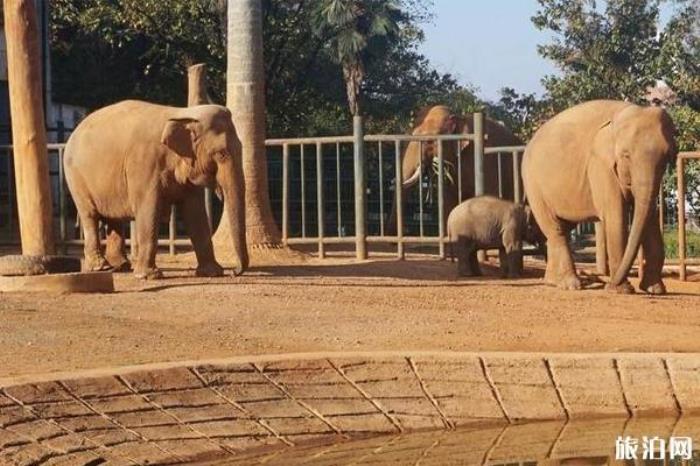 圆通山动物园 圆通山动物园