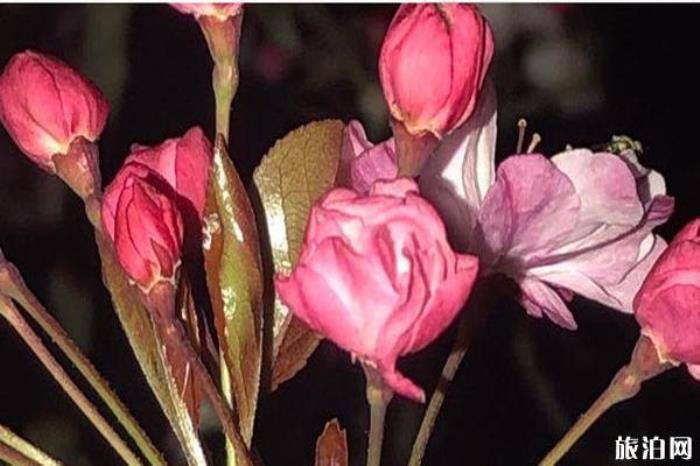 圆通山动物园 圆通山动物园