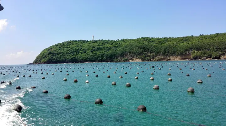 鳄鱼山景区 鳄鱼山景区