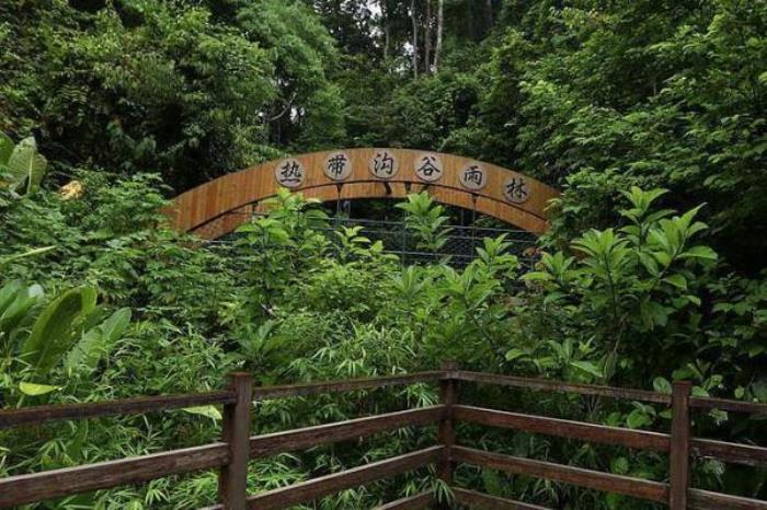 西双版纳雨林谷 西双版纳雨林谷