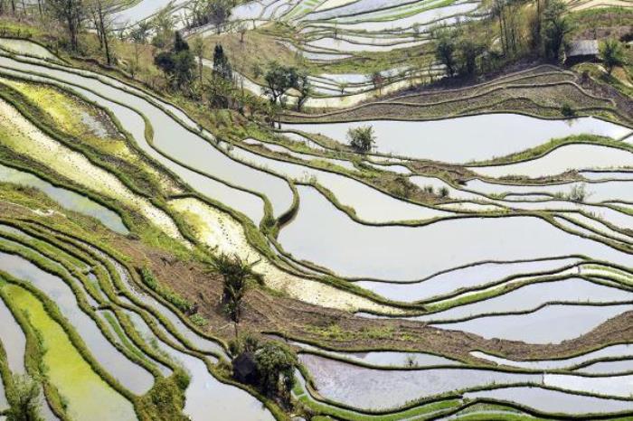 老虎嘴梯田景区 老虎嘴梯田景区