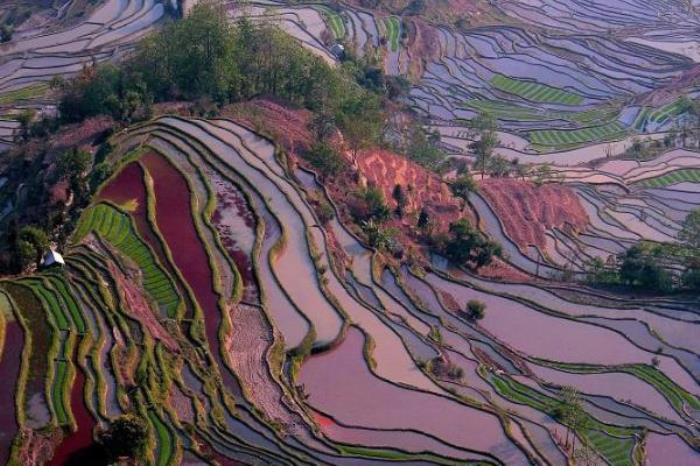 老虎嘴梯田景区 老虎嘴梯田景区