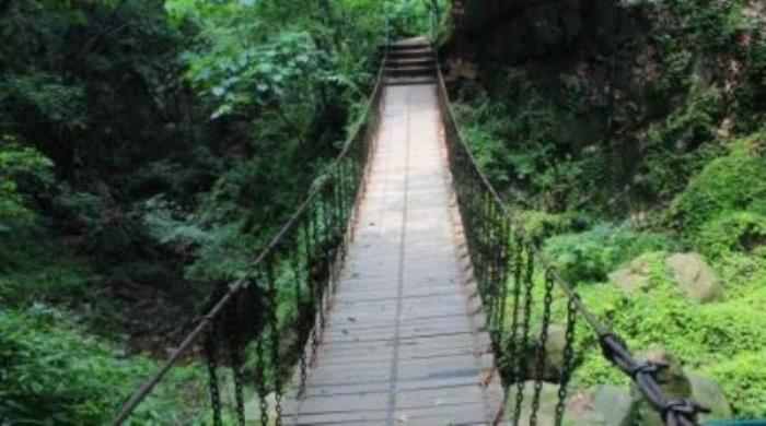 波尔登森林公园 波尔登森林公园