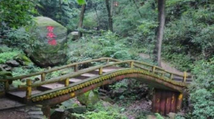 波尔登森林公园 波尔登森林公园