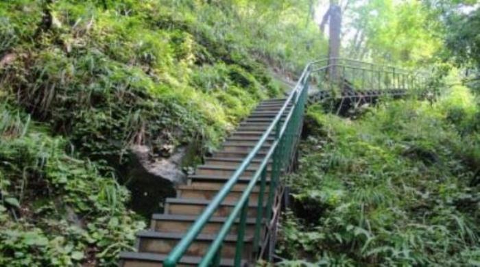 波尔登森林公园 波尔登森林公园