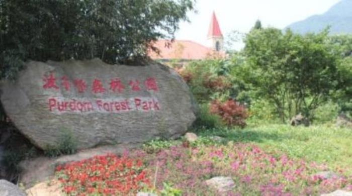 波尔登森林公园 波尔登森林公园